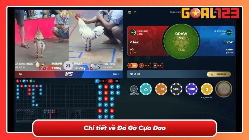 Chiến kê đã được đeo cựa dao