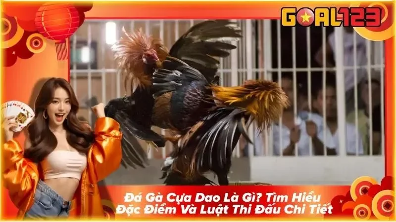 Đá Gà Cựa Dao