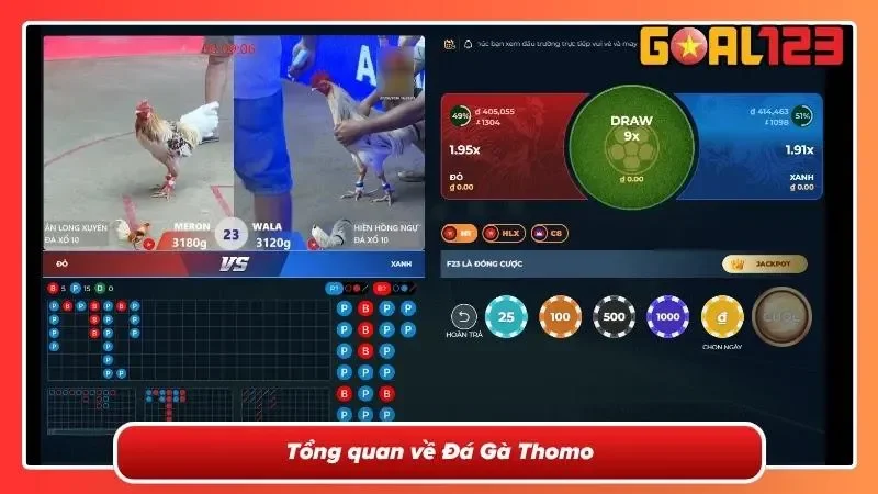 Toàn cảnh trường gà Thomo