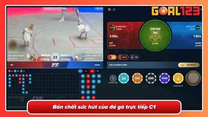 Tổng quan về trò chơi đá gà trực tiếp C1
