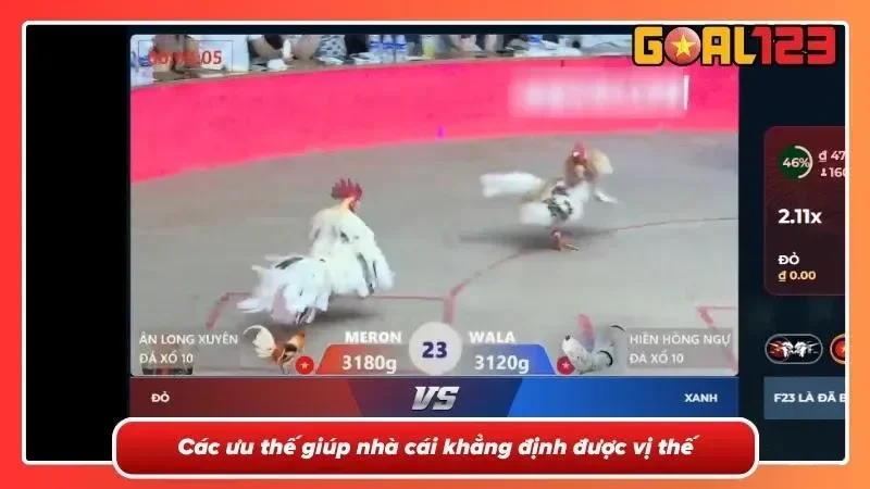 Lý do nhà cái được nhiều người chơi tin chọn