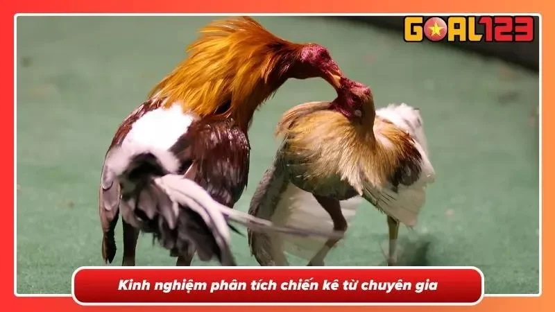 Kinh nghiệm từ chuyên gia về phân tích chiến kê