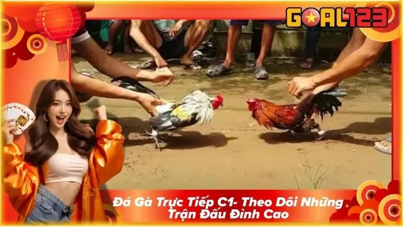 Đá Gà Trực Tiếp C1