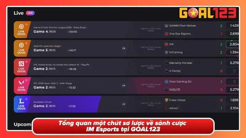 Hiểu rõ nhanh về cái chất riêng của IM Esports